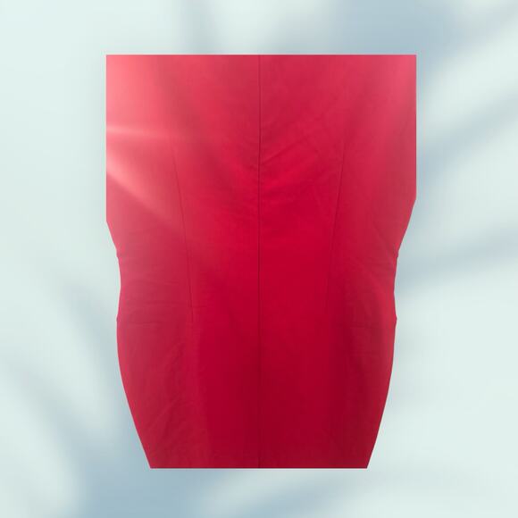 Calvin Klein Red Sleeveless Zipper Front & Back Drop Waist Dress. - Picture 13 of 15